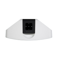 Bluesound PULSE MINI 2i