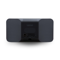 Bluesound PULSE MINI 2i