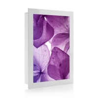 Monitor Audio SoundFrame SF1 On-Wall