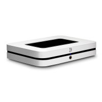 Bluesound NODE (N132)