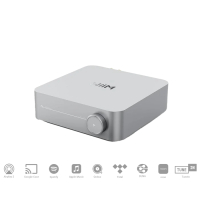 WiiM Amp Silber