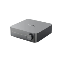 WiiM Amp Grau