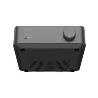 WiiM Vibelink Amp