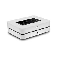 Bluesound POWERNODE (2025)