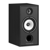 Triangle BOREA BR04 Black Ash