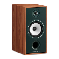 Triangle BOREA BR04 Oak Green
