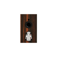 Monitor Audio Gold 50 (6G)