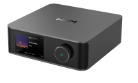 WiiM Amp Ultra Grau