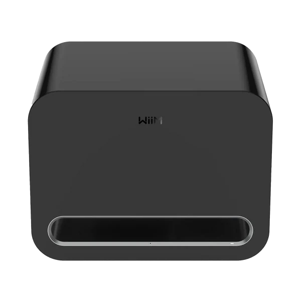 WiiM Sub Pro
