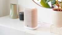 Bluesound PULSE FLEX