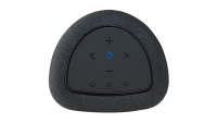 Bluesound PULSE FLEX