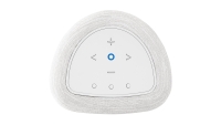 Bluesound PULSE FLEX