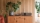 Ruark R410 All-In-One Music System