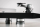 Pro-Ject Debut Reference 10