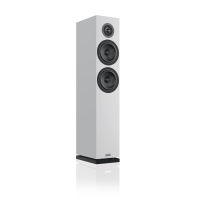 Audio Physic STREAM 3