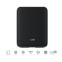 WiiM Sound Lite