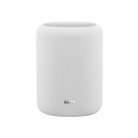 WiiM Sound Lite