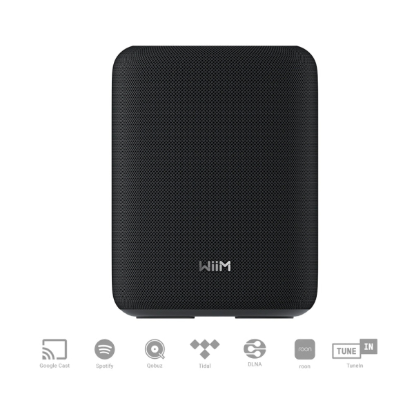 WiiM Sound Lite Schwarz