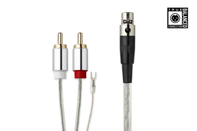 RCA / Mini XLR