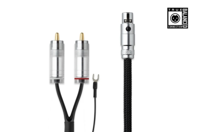 RCA / Mini XLR